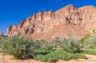 Saudi Arabia, Tabuk, Al-Disah. A desert farm. Art Print